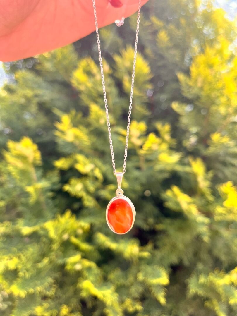 Akik Taşı Gümüş Kolye - 