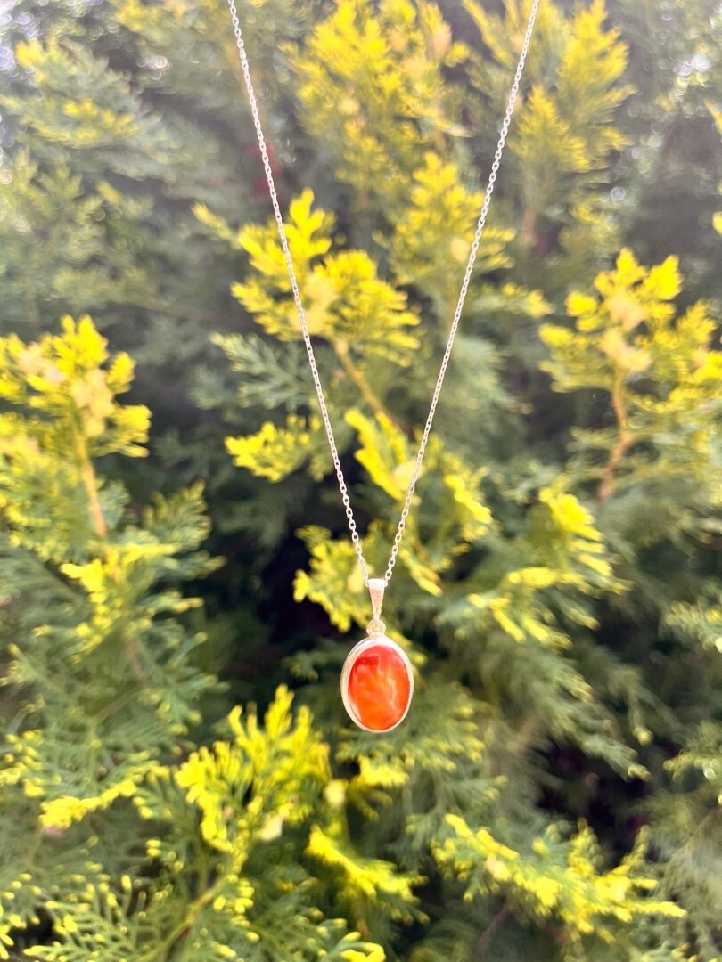 Akik Taşı Gümüş Kolye - 3