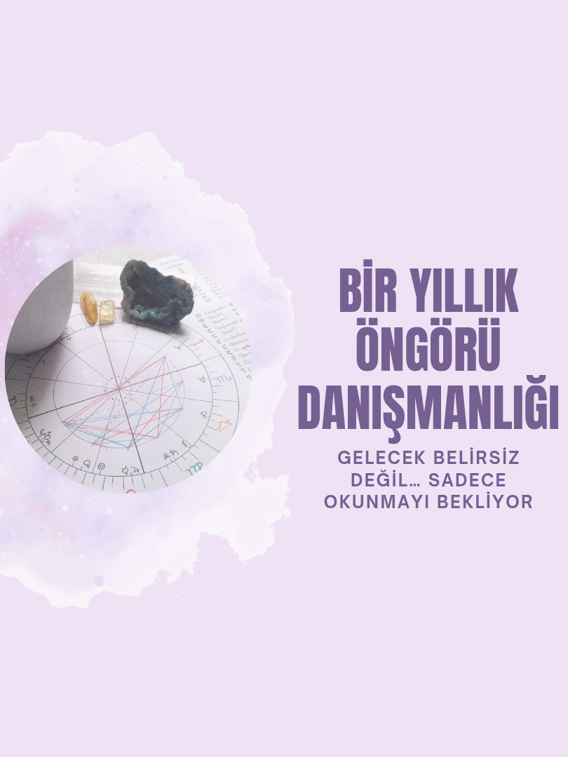 Bir Yıllık Öngörü Danışmanlığı - 1