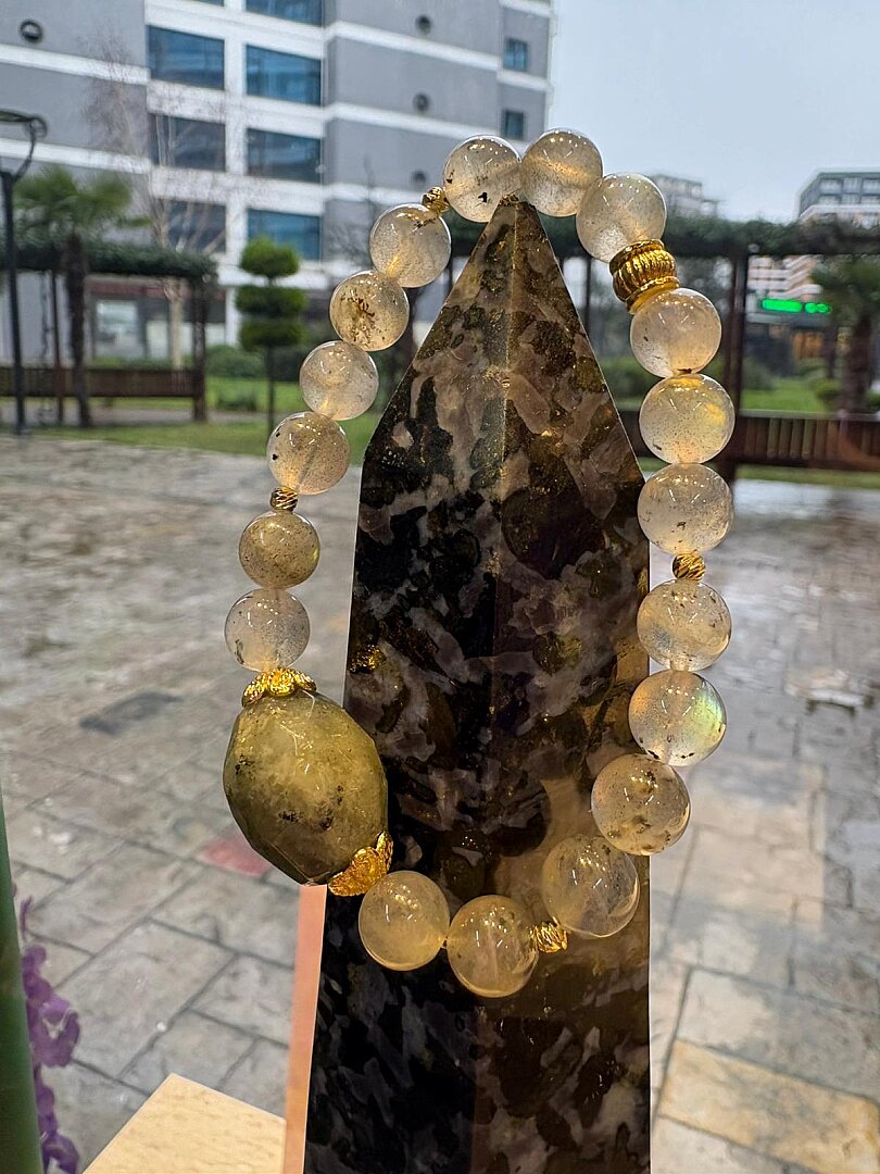 Labra-dor Büyü Kalkanı 2 - 