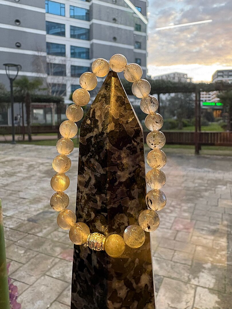 Labra-dor Büyü Kalkanı-Erkek Formülü - 2